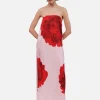 Emilia Bustier Maxi Dress - Pink Floral