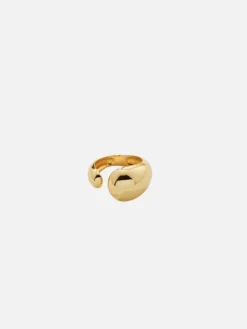Ezra Ring