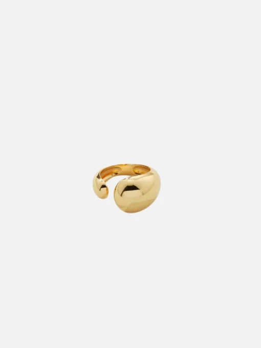 Ezra Ring